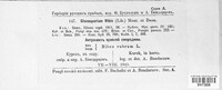Drepanopeziza ribis image